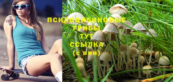 метадон Лабытнанги