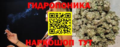 МДПВ Донской