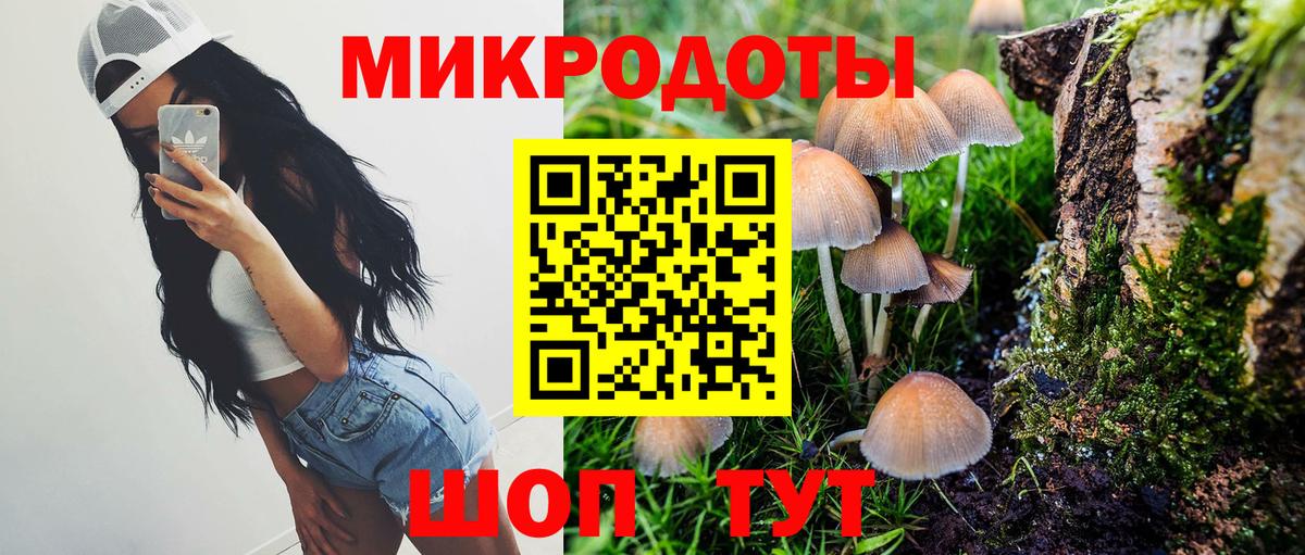 Галлюциногенные грибы GOLDEN TEACHER Сыктывкар