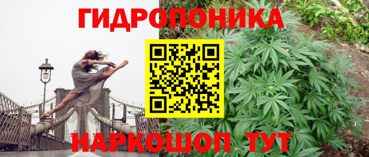 Шишки марихуана MAZAR Сыктывкар